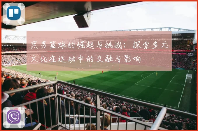 黑男篮球的崛起与挑战：探索多元文化在运动中的交融与影响