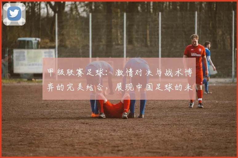 甲级联赛足球：激情对决与战术博弈的完美结合，展现中国足球的未来希望