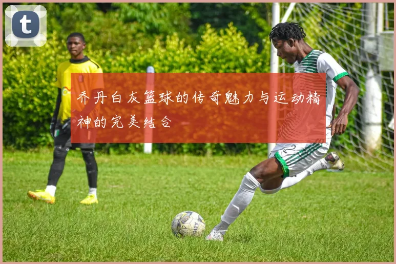 乔丹白灰篮球的传奇魅力与运动精神的完美结合