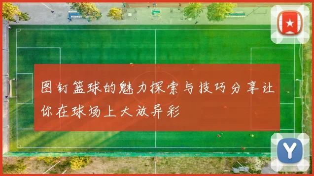 图钉篮球的魅力探索与技巧分享让你在球场上大放异彩