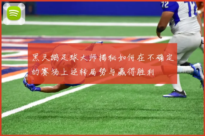 黑天鹅足球大师揭秘如何在不确定的赛场上逆转局势与赢得胜利